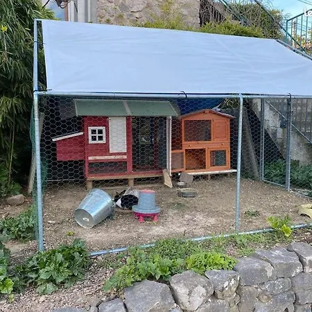 Gite L'ortal Avec Piscine & Spa